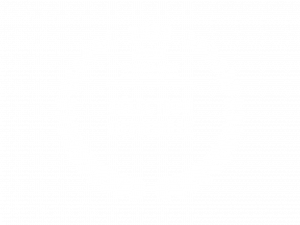 selectionlauriersjeju